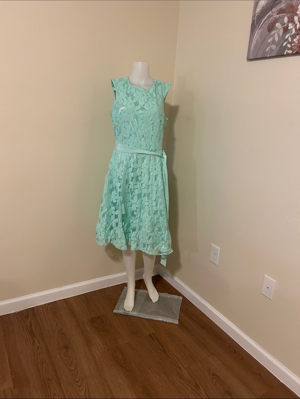 Alex Marie Mint Green Lace Midi Dress